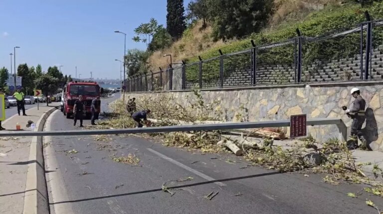 uskudarda-agac-devrildi-trafik-kesildi-SiwD4dcg.jpg