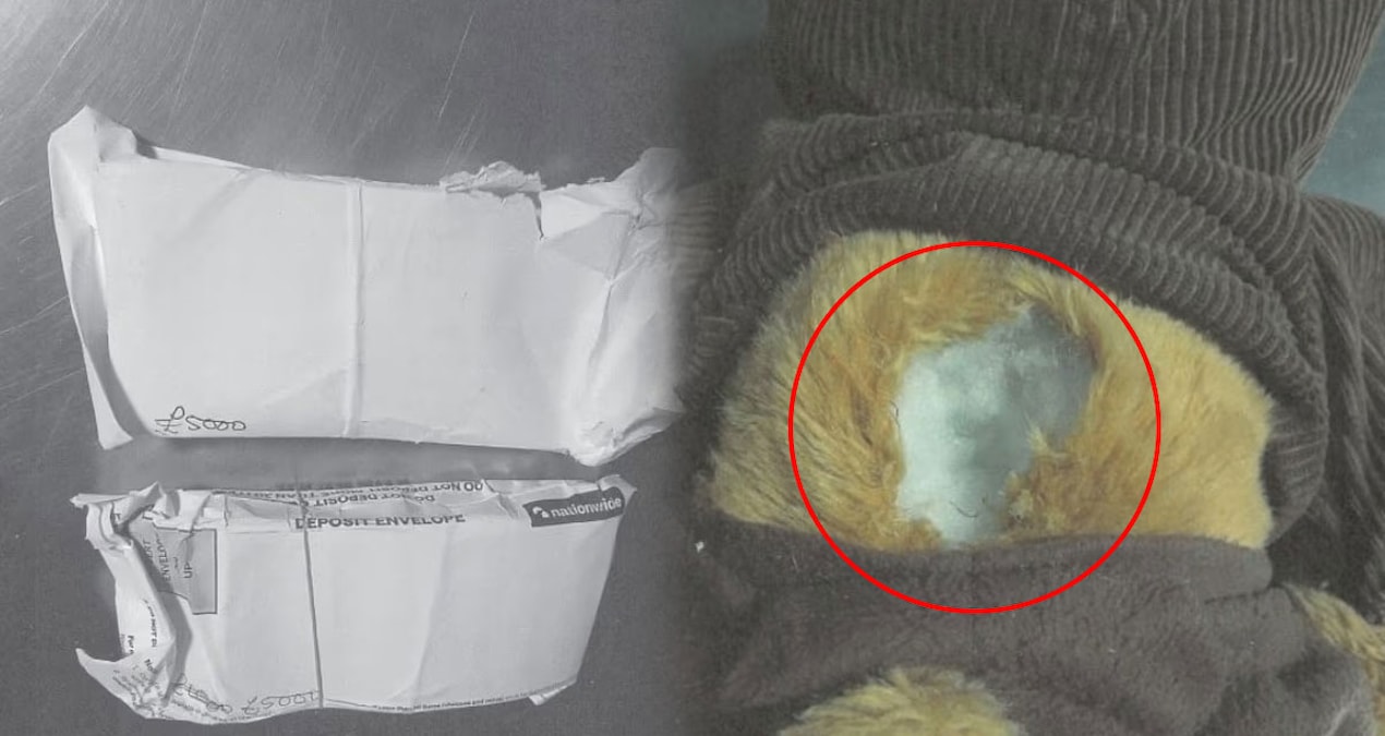 bu oyuncak ayiyla kurtarma operasyonu yaptigini sandi 563 bin tl buhar oldu KGJx46va