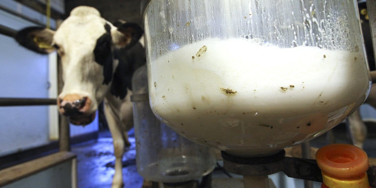 cig sut fiyatlarina zam geldi iki ay sonra yeniden artabilir GfnhKOWf