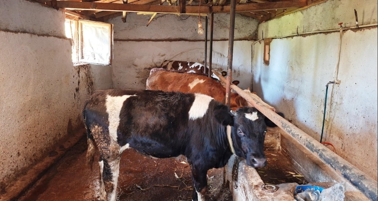 sap alarmi devrede ilce karantinaya alindi 9qB42WxN