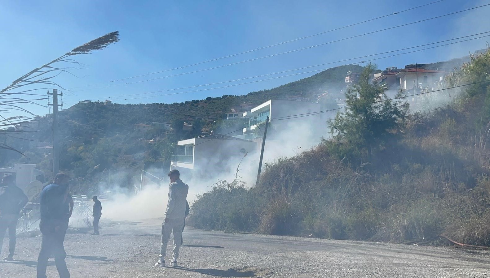 alanyada ormanlik alanda yangin bkIsqwv2.jpg