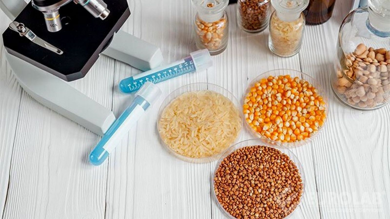 TMR ve Kaba Yemlerde Yem Analizi Makinesi Avantajları tmr ve kaba yemlerde yem analizi makinesi avantajlari Pf1cExqs