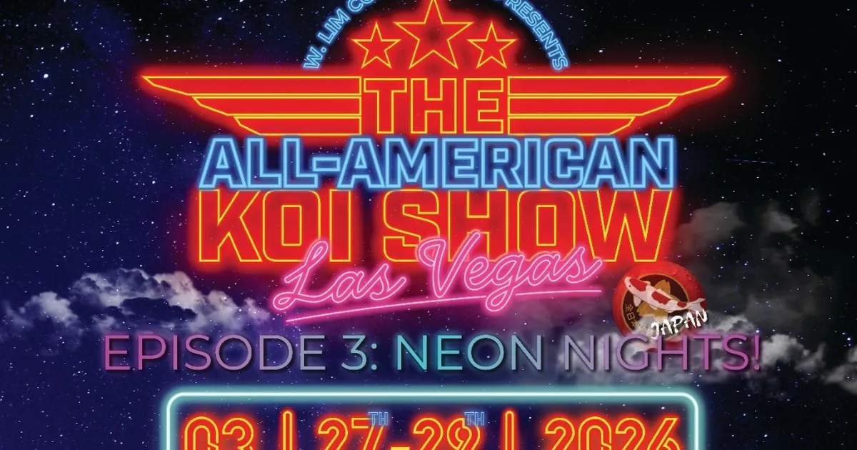 all american koi show 2026 koi dunyasinin en prestijli yarismasi las vegasa donuyor VTIN6FG5.webp