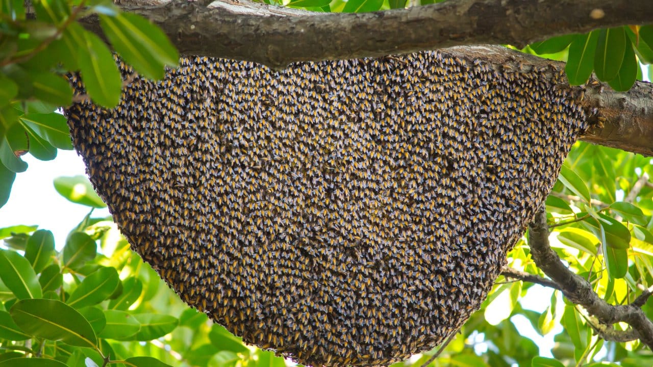 bingolde ureticilere yuzde 75 hibe verildi VAdrlFIC.jpg