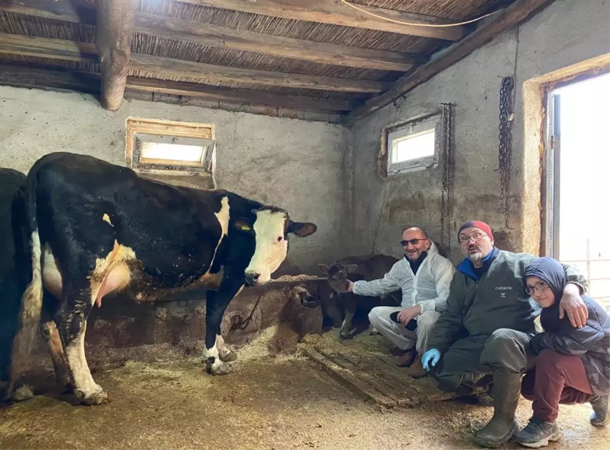 turkiyede sut alerjisi icin genetik cozumler gelistirildi FSBZXCOf.jpg