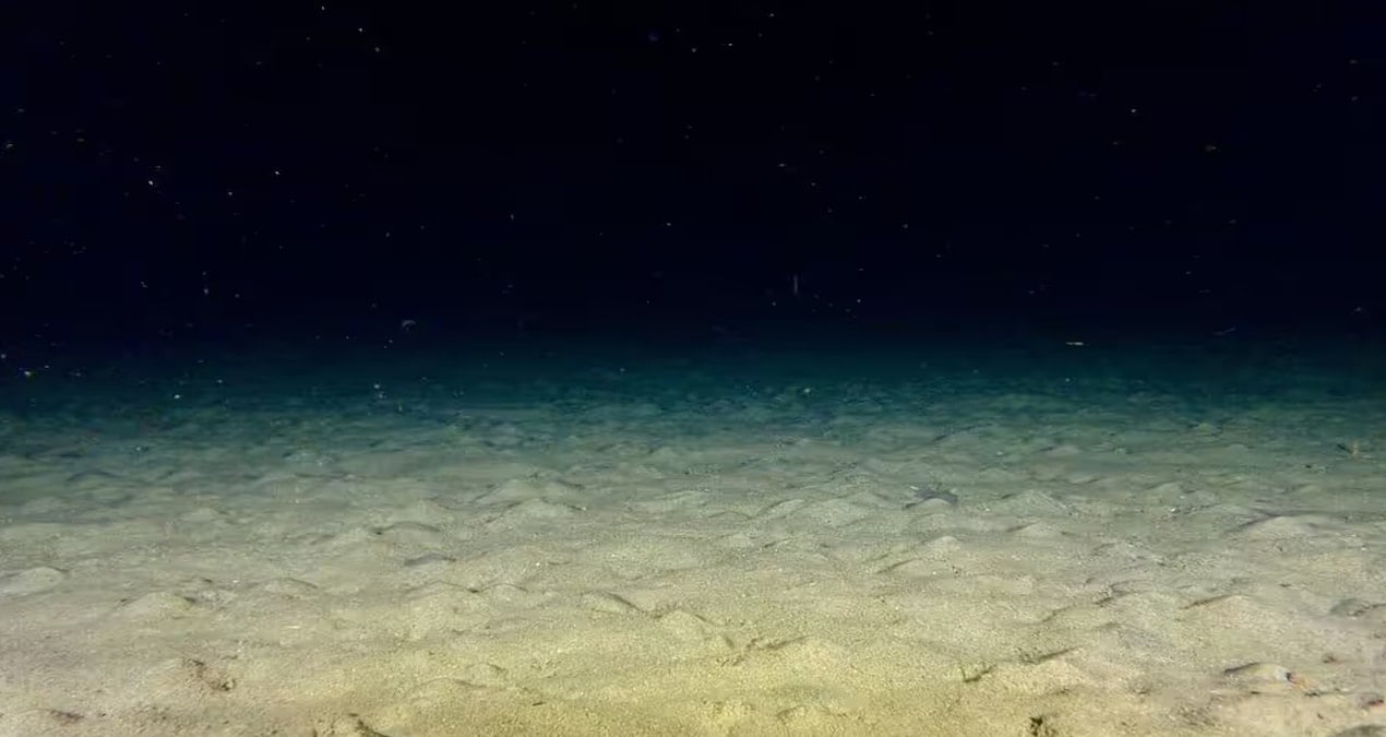 Gecenin bir yarısı kaydedilen görüntüye uzmanlar bile inanamadı: ‘Böyle bir şey görmedik’