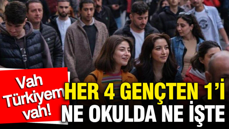 tuikin-istatistiklerle-genclik-2025-raporu-her-4-gencten-1i-ne-okulda-ne-iste-scqayXOm-1
